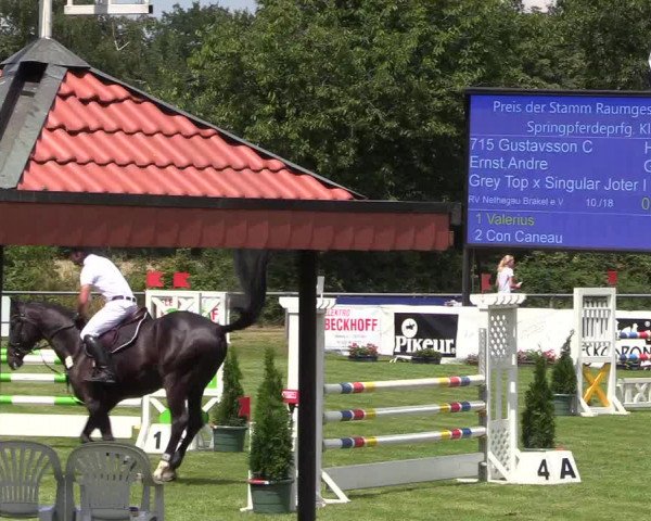 Reitturnier Delbrück-Ostenland 2018