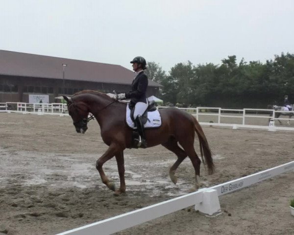Reitturnier Pellheim-Gerblhof 2018