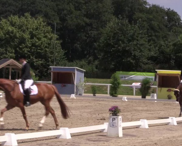 Reitturnier Melle-Ostenfelde 2018