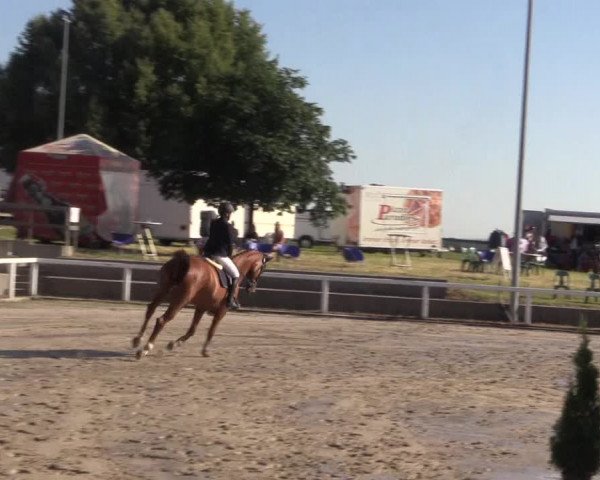 Reitturnier Melle-Ostenfelde 2018