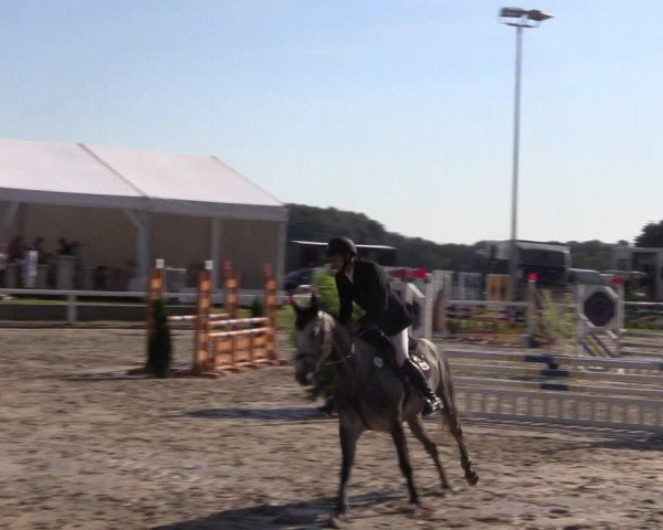 Reitturnier Melle-Ostenfelde 2018