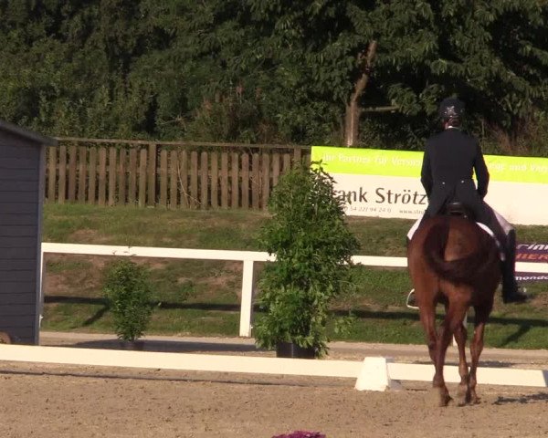 Reitturnier Melle-Ostenfelde 2018
