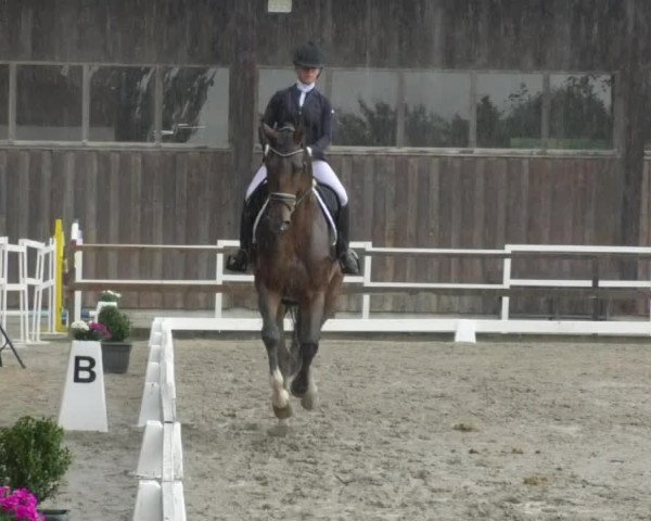 Reitturnier Pellheim-Gerblhof 2018