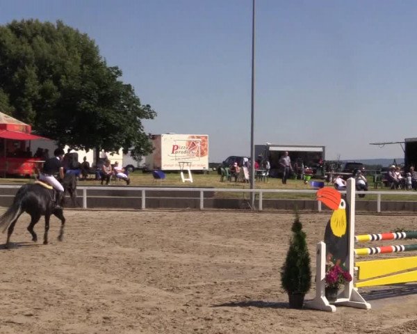 Reitturnier Melle-Ostenfelde 2018
