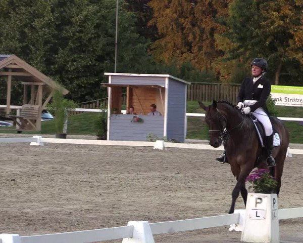 Reitturnier Melle-Ostenfelde 2018