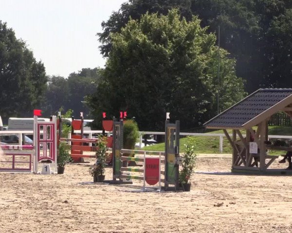 Reitturnier Melle-Ostenfelde 2018