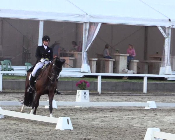 Reitturnier Melle-Ostenfelde 2018