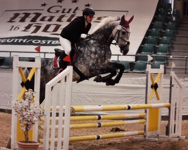 jumper Calimero 650 (Württemberger, 2010, from Califax)