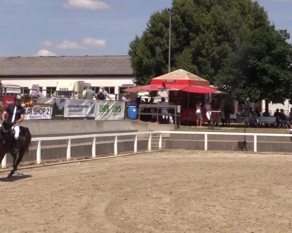 Reitturnier Melle-Ostenfelde 2018