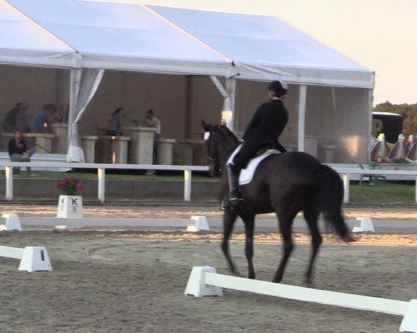 Reitturnier Melle-Ostenfelde 2018