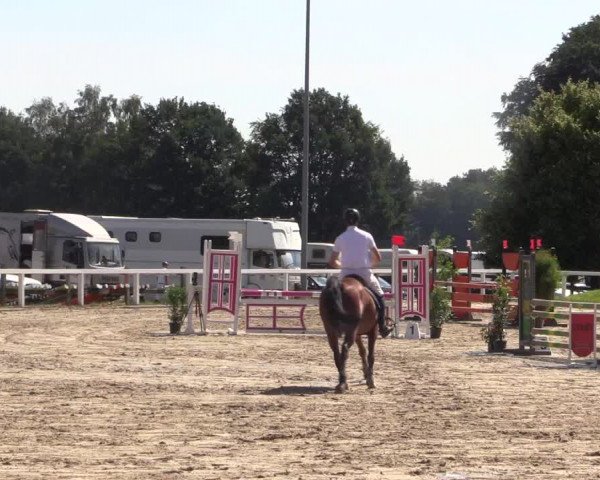 Reitturnier Melle-Ostenfelde 2018