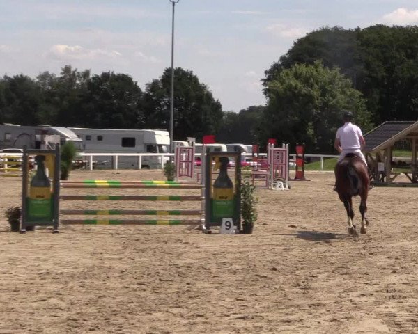 Reitturnier Melle-Ostenfelde 2018