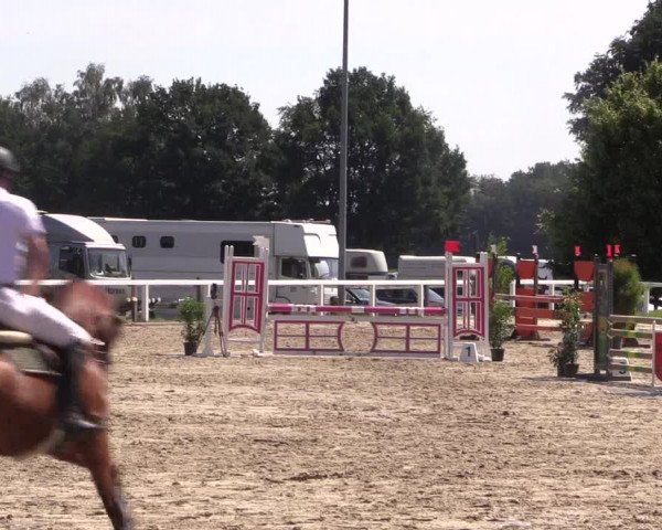 Reitturnier Melle-Ostenfelde 2018