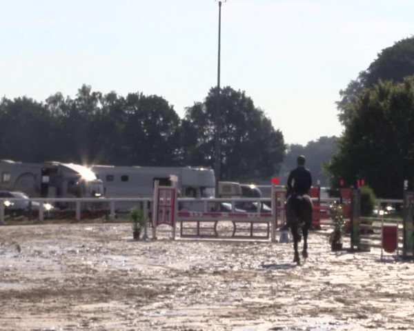 Reitturnier Melle-Ostenfelde 2018