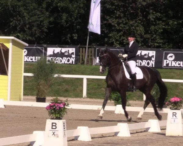 Reitturnier Melle-Ostenfelde 2018