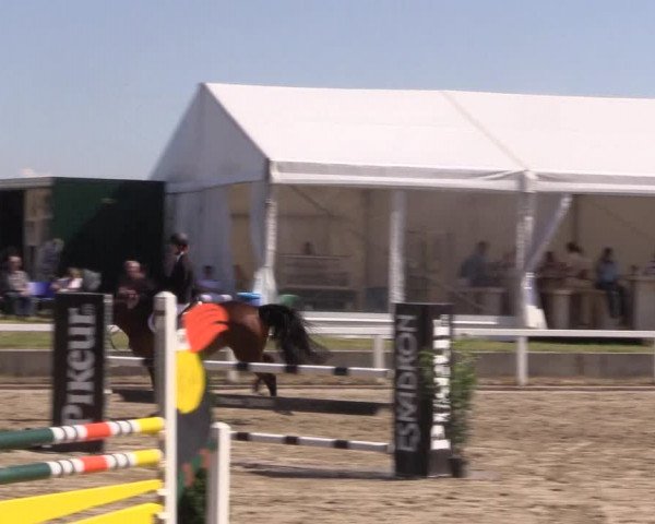 Reitturnier Melle-Ostenfelde 2018