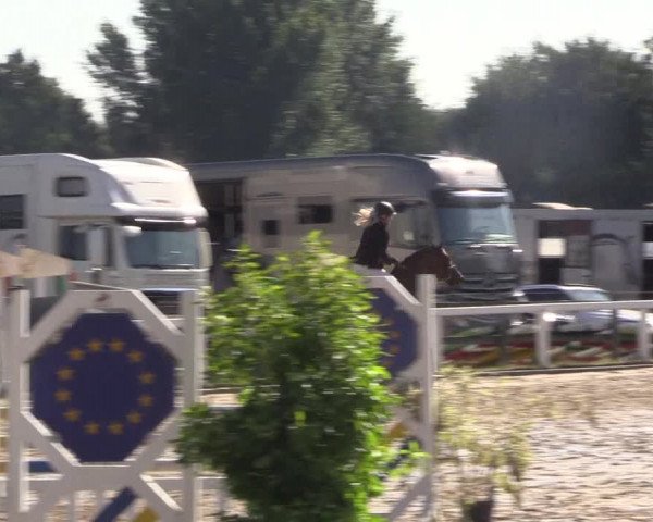 Reitturnier Melle-Ostenfelde 2018