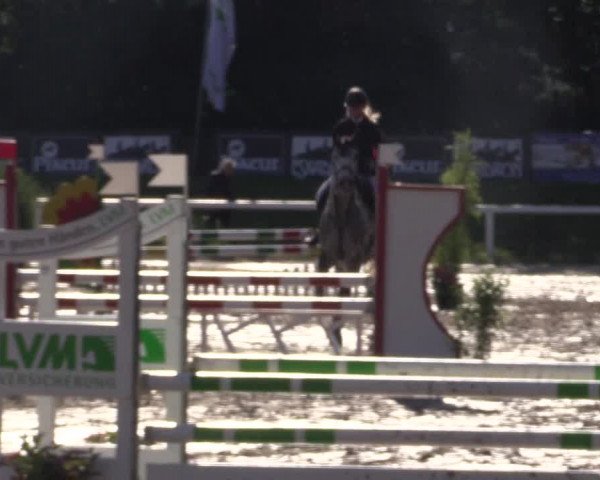 Reitturnier Melle-Ostenfelde 2018