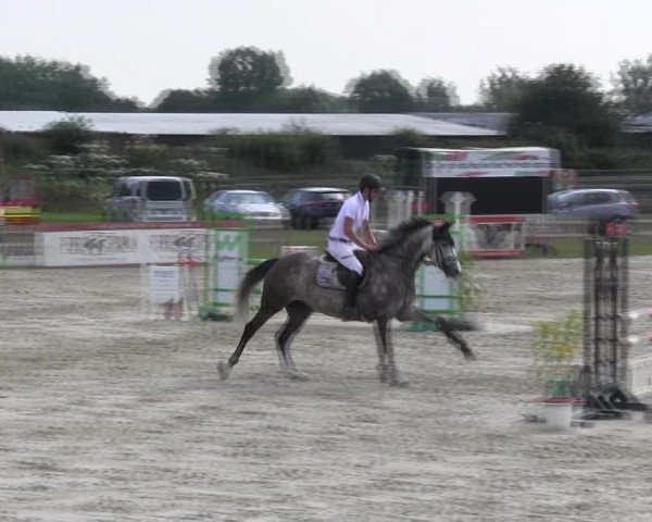 Reitturnier Schülp / Rendsburg 2018