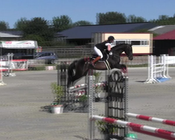Reitturnier Schülp / Rendsburg 2018