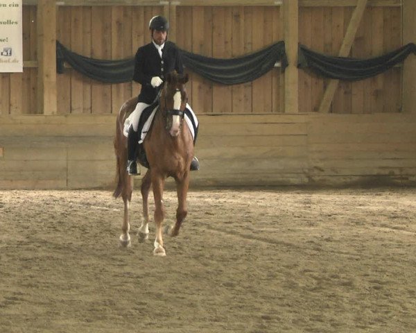 Reitturnier Pellheim-Gerblhof 2018