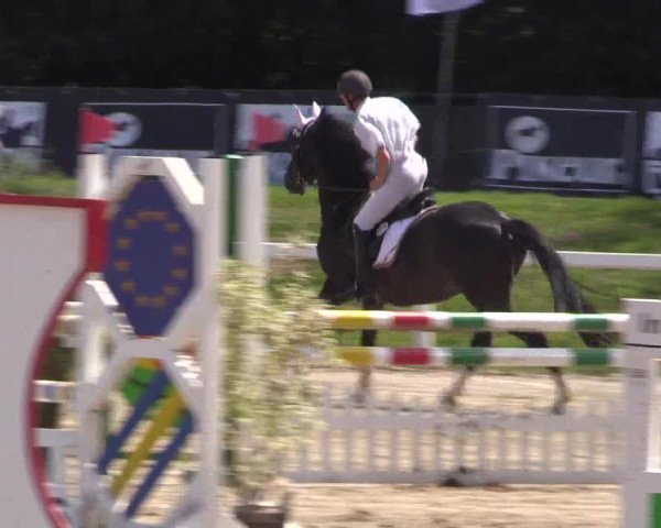 Reitturnier Melle-Ostenfelde 2018