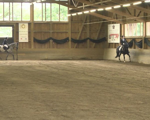 Reitturnier Pellheim-Gerblhof 2018