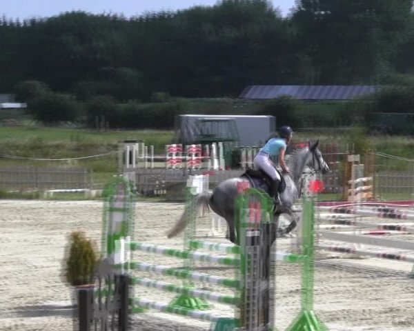 Reitturnier Schülp / Rendsburg 2018