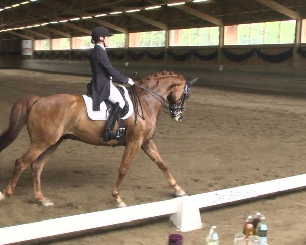 Reitturnier Pellheim-Gerblhof 2018