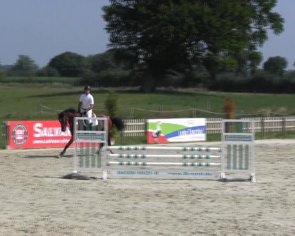 Reitturnier Schülp / Rendsburg 2018