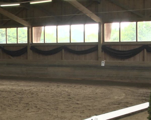 Reitturnier Pellheim-Gerblhof 2018