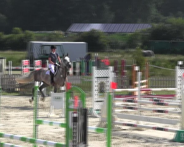 Reitturnier Schülp / Rendsburg 2018