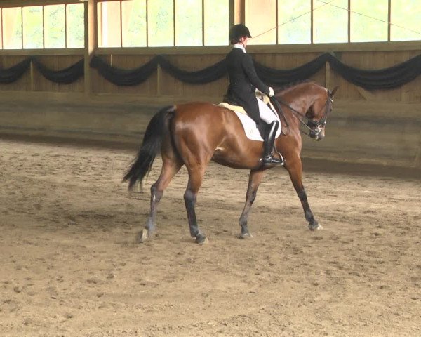 Reitturnier Pellheim-Gerblhof 2018