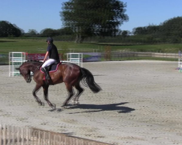 Reitturnier Schülp / Rendsburg 2018