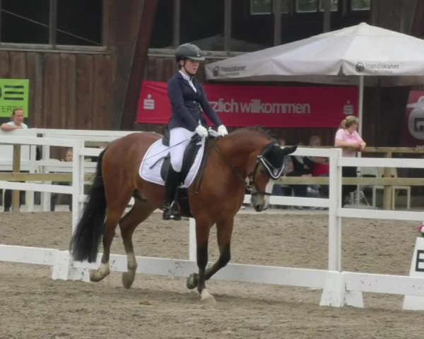 Reitturnier Pellheim-Gerblhof 2018