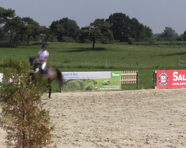 Reitturnier Schülp / Rendsburg 2018