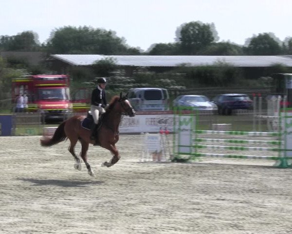 Reitturnier Schülp / Rendsburg 2018