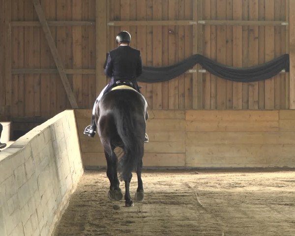 Reitturnier Pellheim-Gerblhof 2018