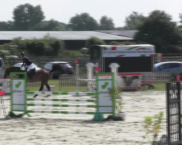 Reitturnier Schülp / Rendsburg 2018
