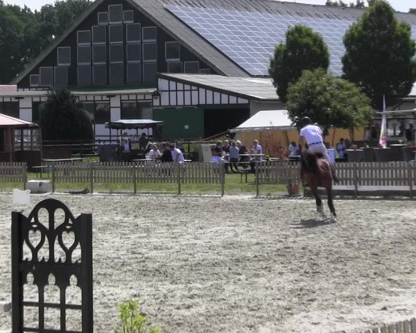 Reitturnier Schülp / Rendsburg 2018