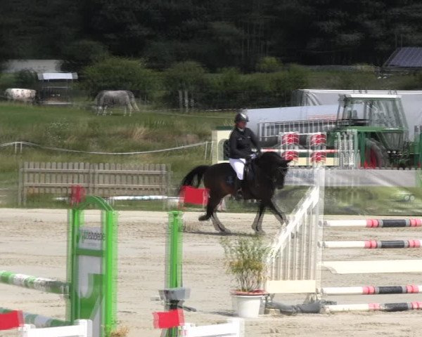 Reitturnier Schülp / Rendsburg 2018