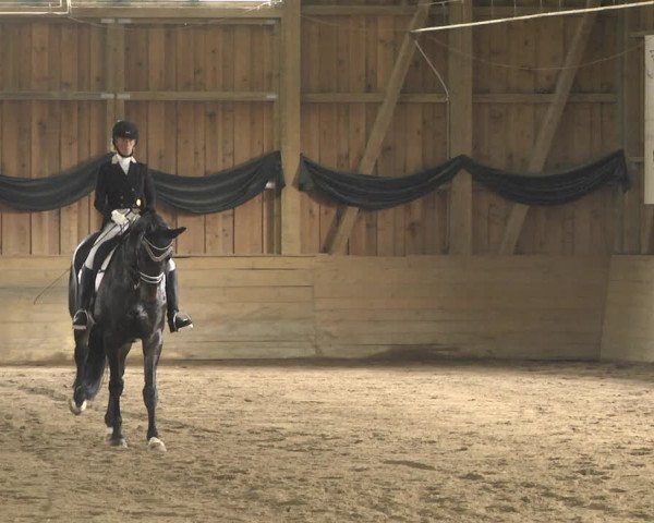Reitturnier Pellheim-Gerblhof 2018