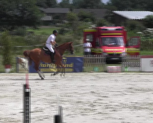 Reitturnier Schülp / Rendsburg 2018