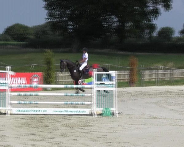 Reitturnier Schülp / Rendsburg 2018