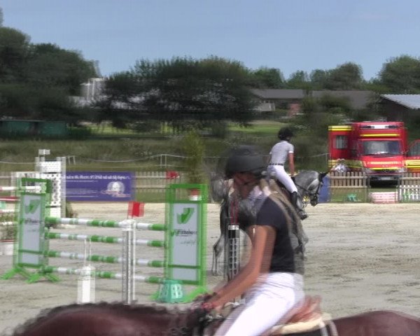 Reitturnier Schülp / Rendsburg 2018