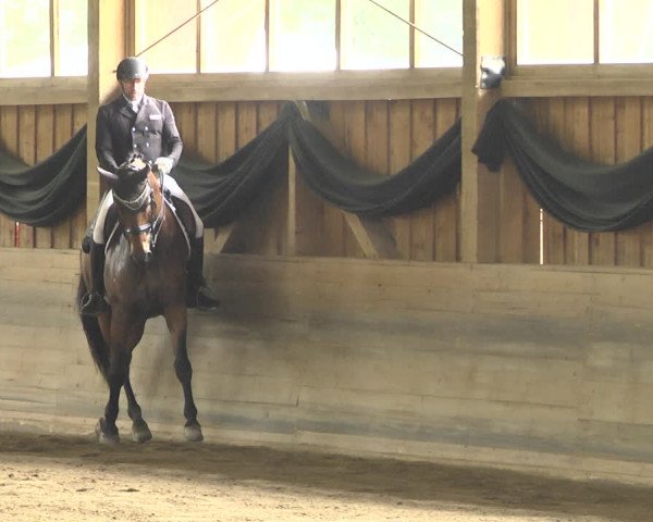 Reitturnier Pellheim-Gerblhof 2018