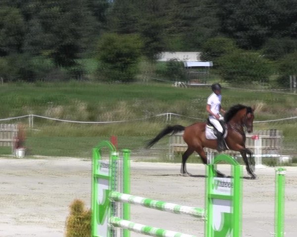 Reitturnier Schülp / Rendsburg 2018