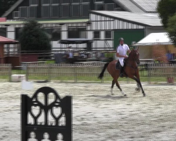 Reitturnier Schülp / Rendsburg 2018