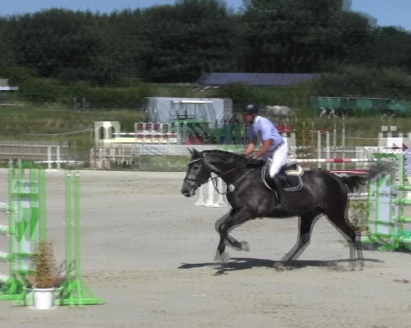 Reitturnier Schülp / Rendsburg 2018