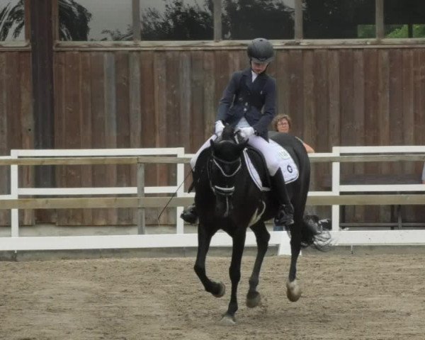 Reitturnier Pellheim-Gerblhof 2018